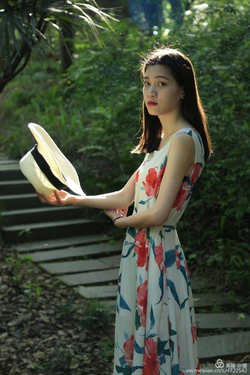 胡桃玩旅行者胡萝卜道具展示